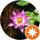 吳小山 profile picture